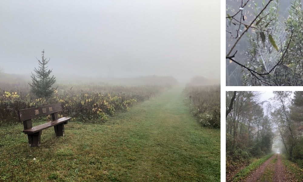 Misty fall morning at Steinke Basin