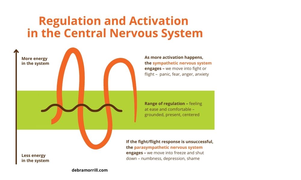 Activation in the central nervous system
