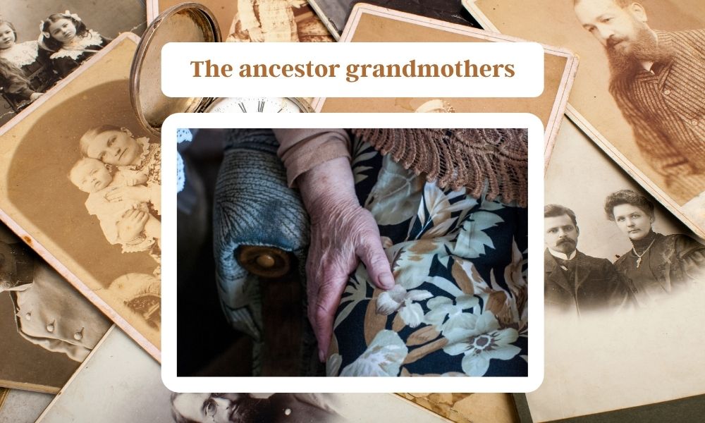 The ancestor grandmothers